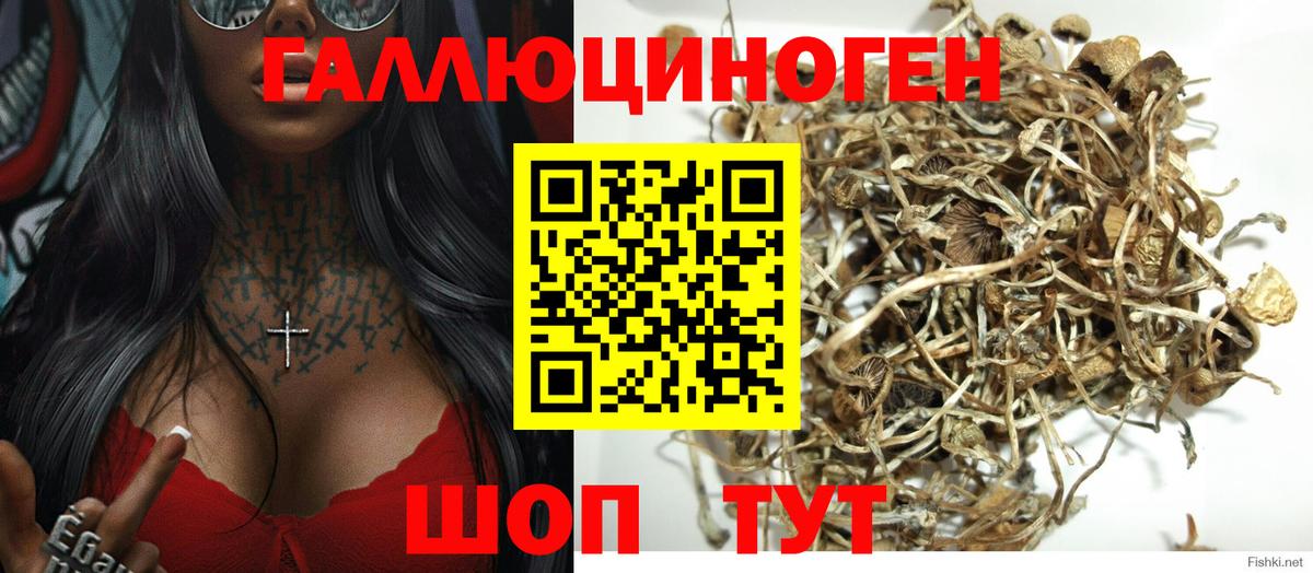 Галлюциногенные грибы мицелий  Вход с VPN  Ирбит 