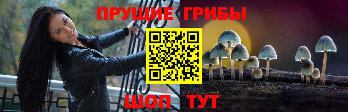 Псилоцибиновые грибы Psilocybine cubensis Ирбит